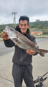 アラ