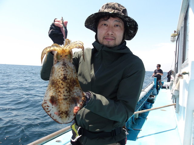 アオリイカ