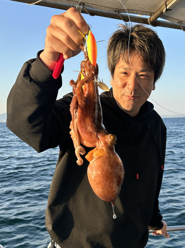 マダコ
