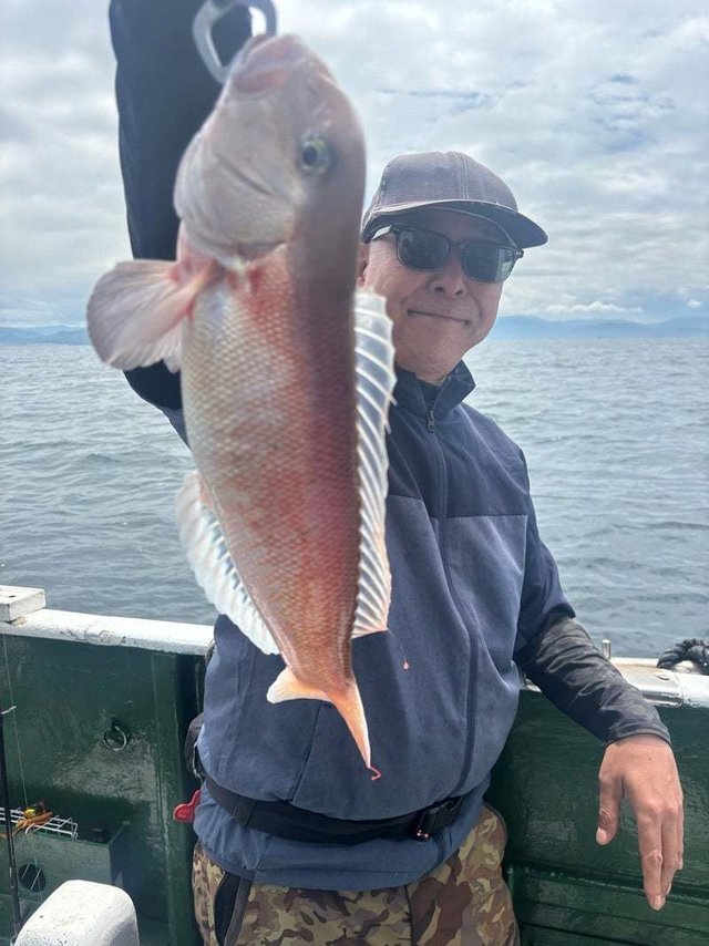 シロアマダイ