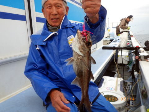 クロムツ