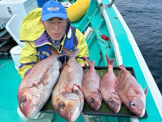 マダイ