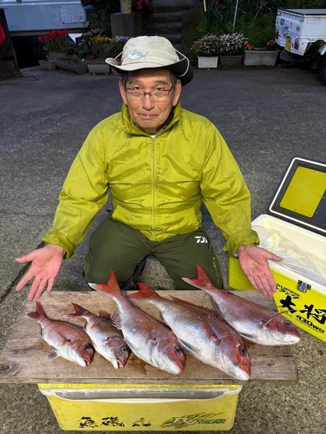 マダイ