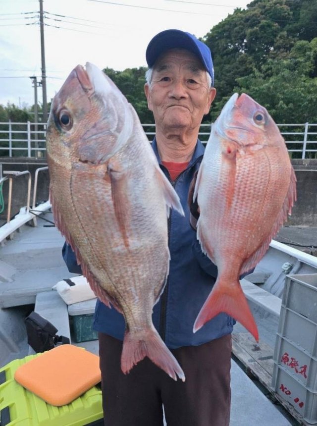 マダイ