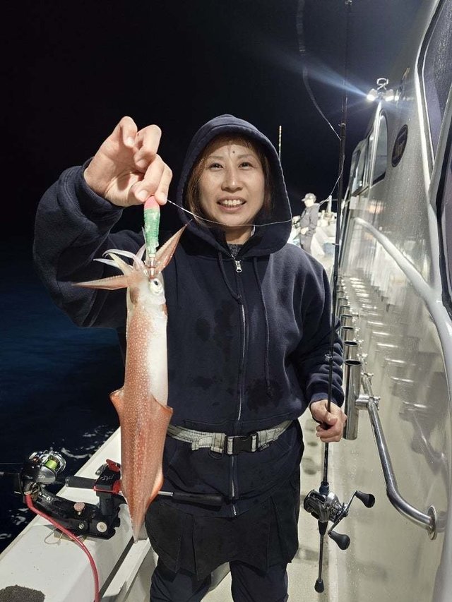 ケンサキイカ