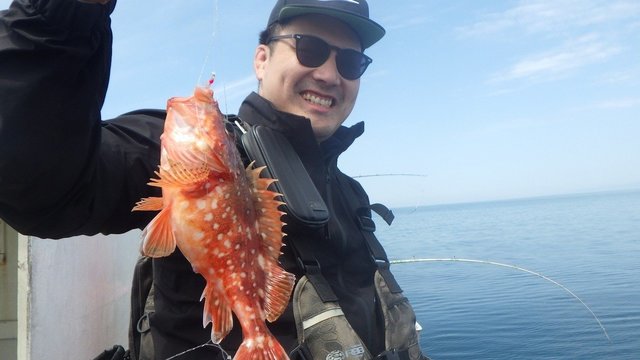 ウッカリカサゴ