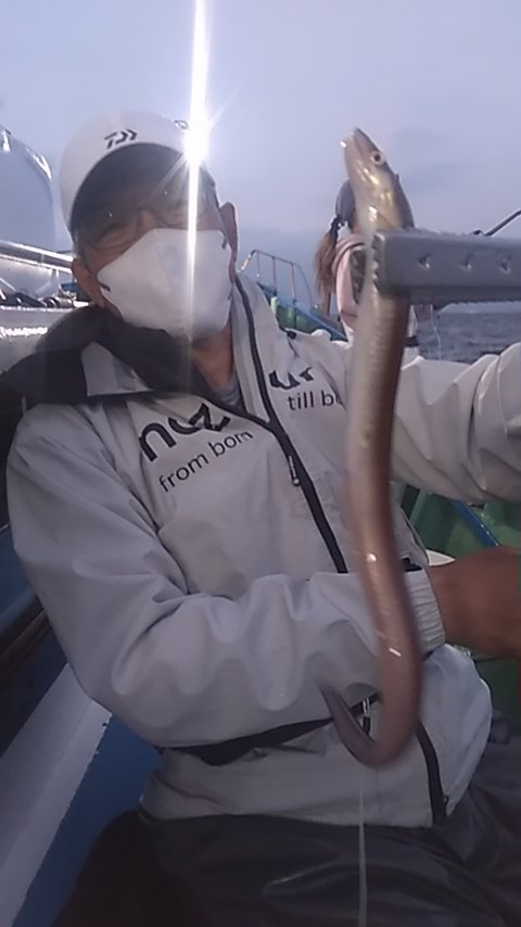 アナゴ(マアナゴ)
