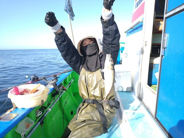 アジ(マアジ)