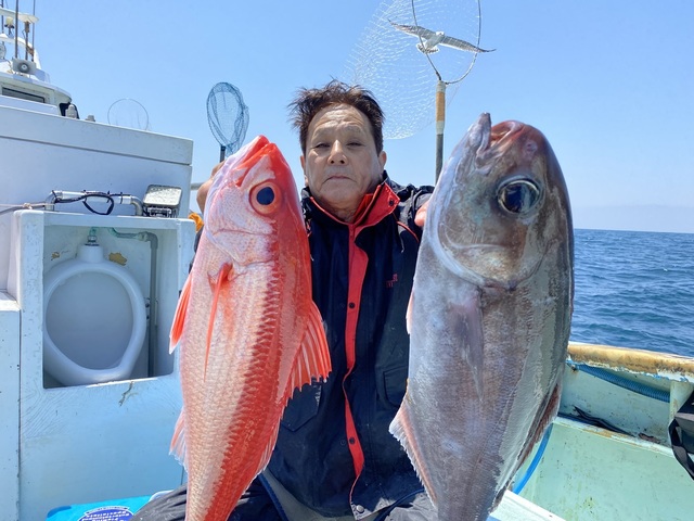 メダイ・オナガダイ(ハマダイ)