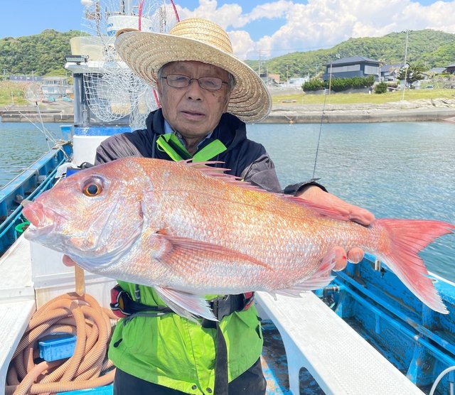 マダイ