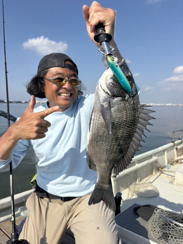 クロダイ