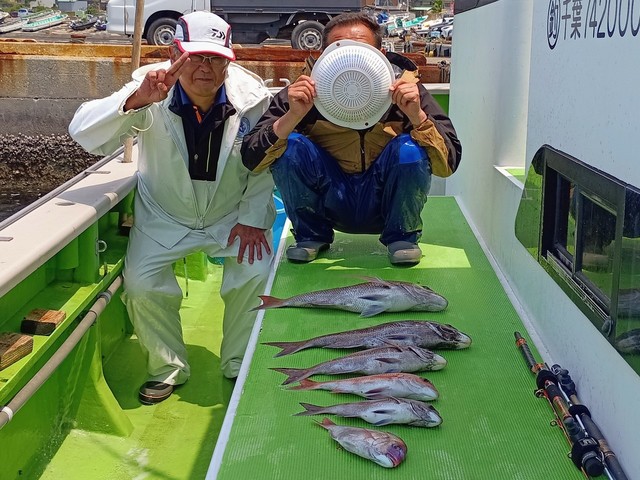 マダイ