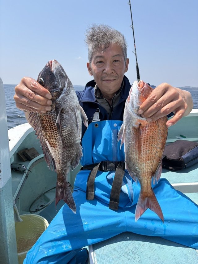 マダイ