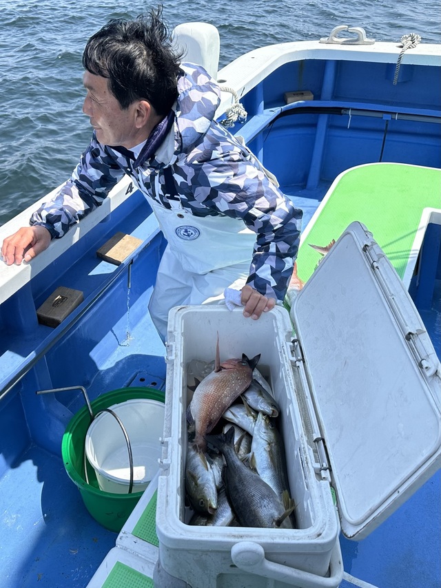 マダイ