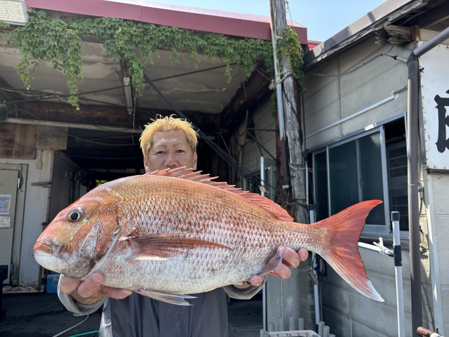 マダイ