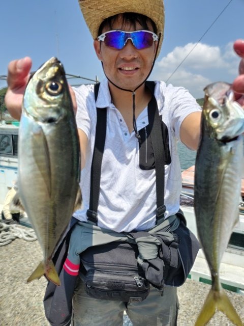 アジ(マアジ)