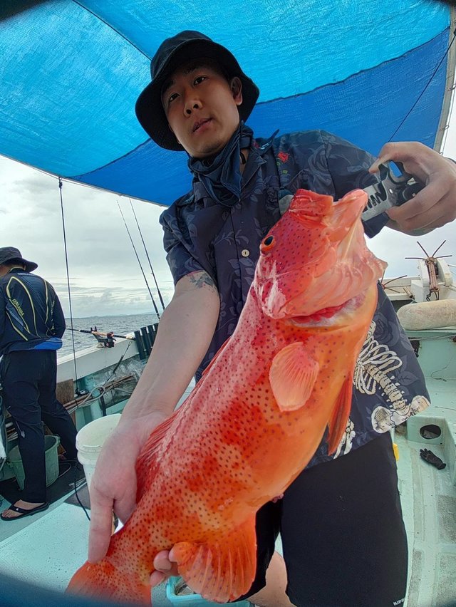 アカジン(スジアラ)