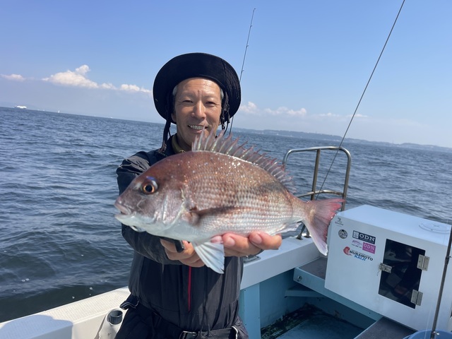 マダイ