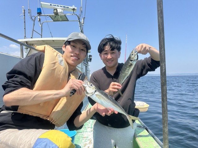 アジ(マアジ)