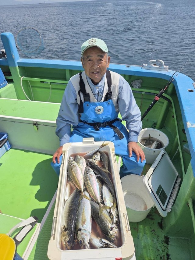 アジ(マアジ)