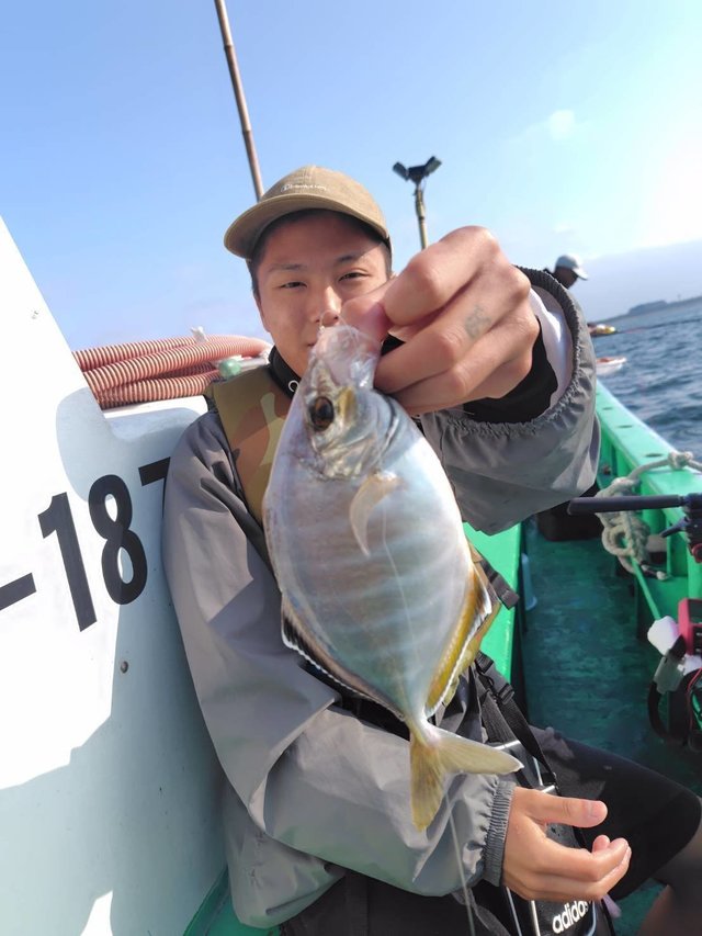 カイワリ