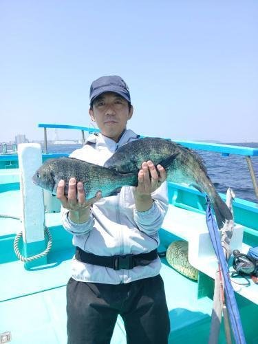 クロダイ