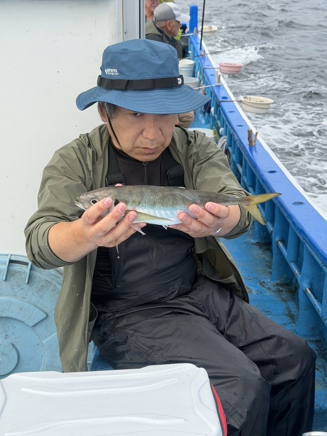 アジ(マアジ)