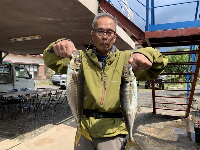 アジ(マアジ)