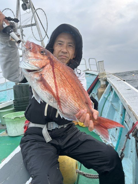 マダイ