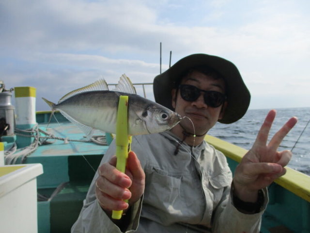 アジ(マアジ)