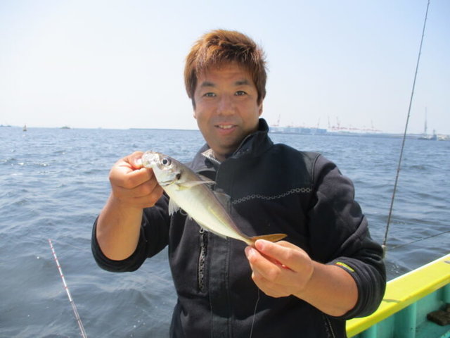 アジ(マアジ)