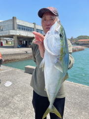 イナワラ(ブリ)