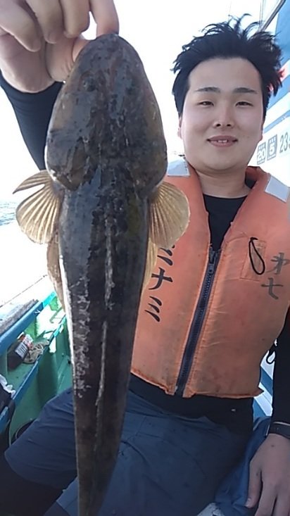 マゴチ