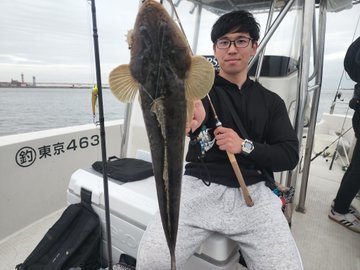 マゴチ