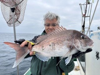 マダイ