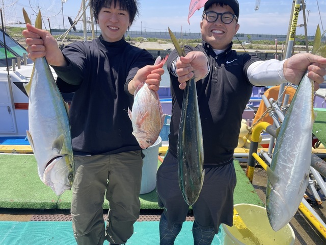 ワラサ(ブリ)