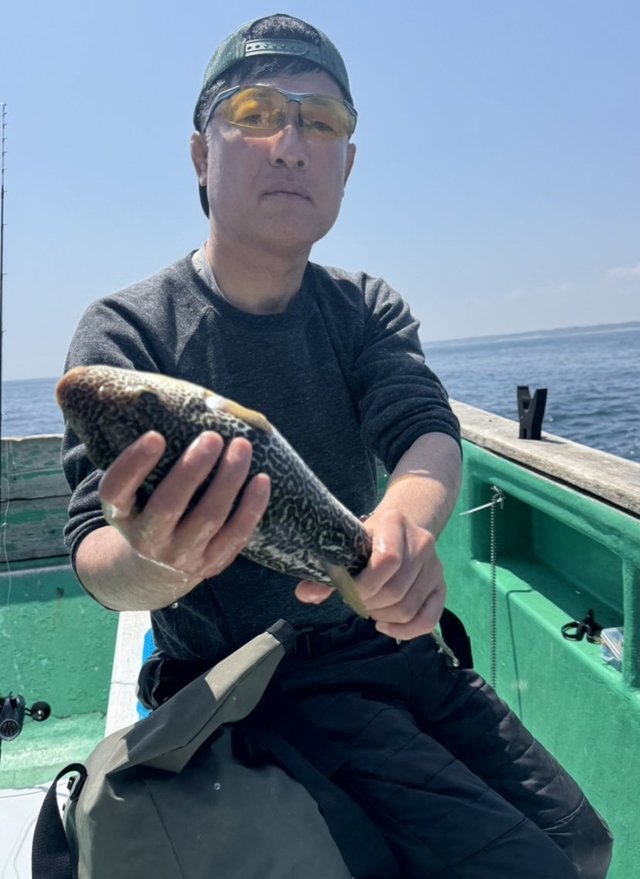 ショウサイフグ