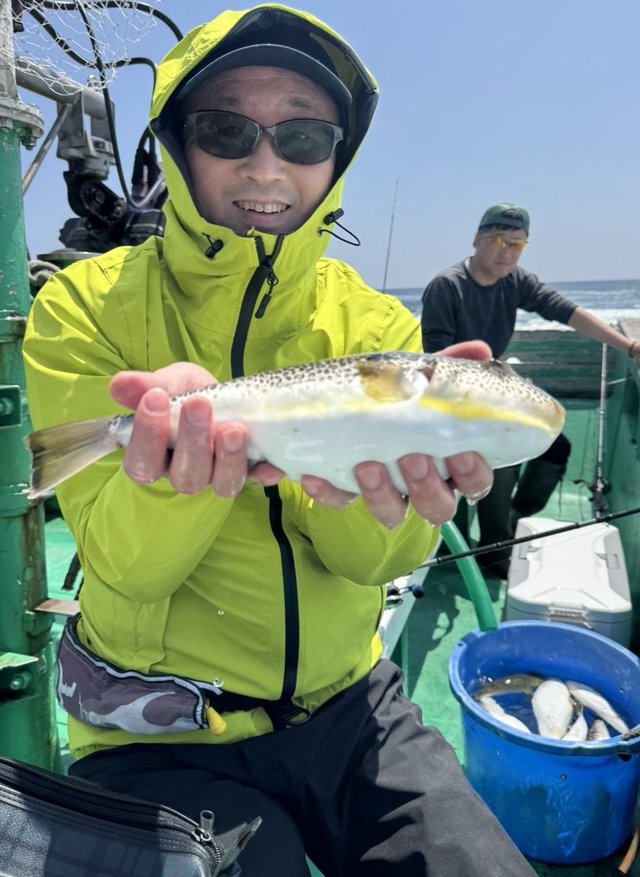 ショウサイフグ