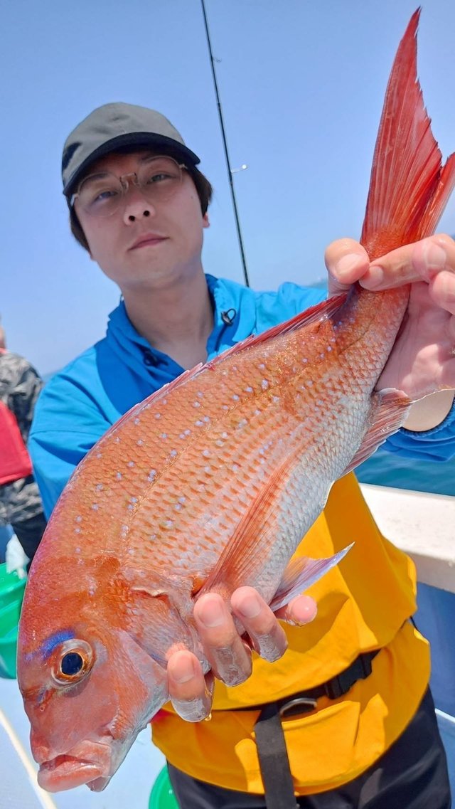 マダイ
