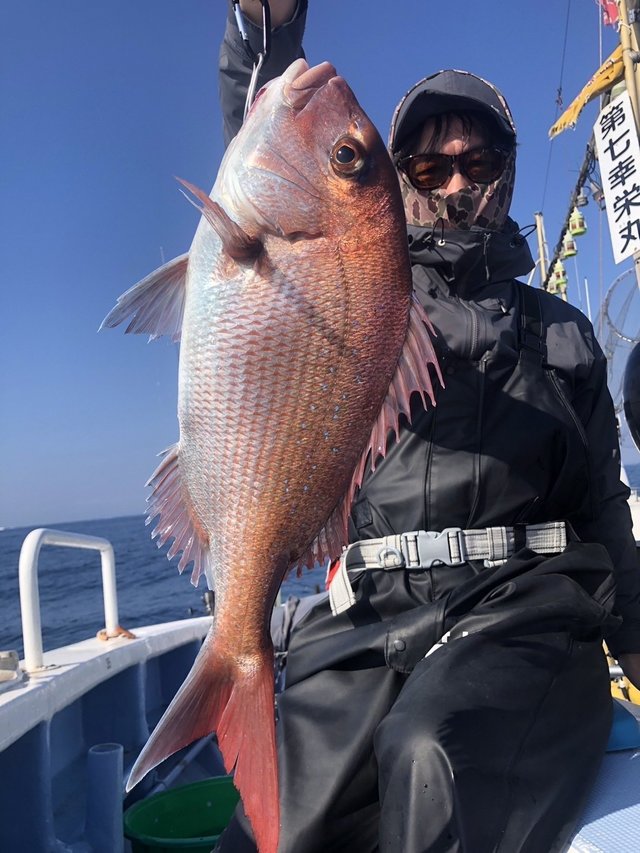 マダイ