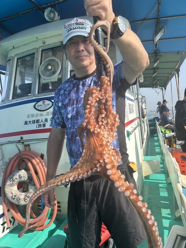 マダコ