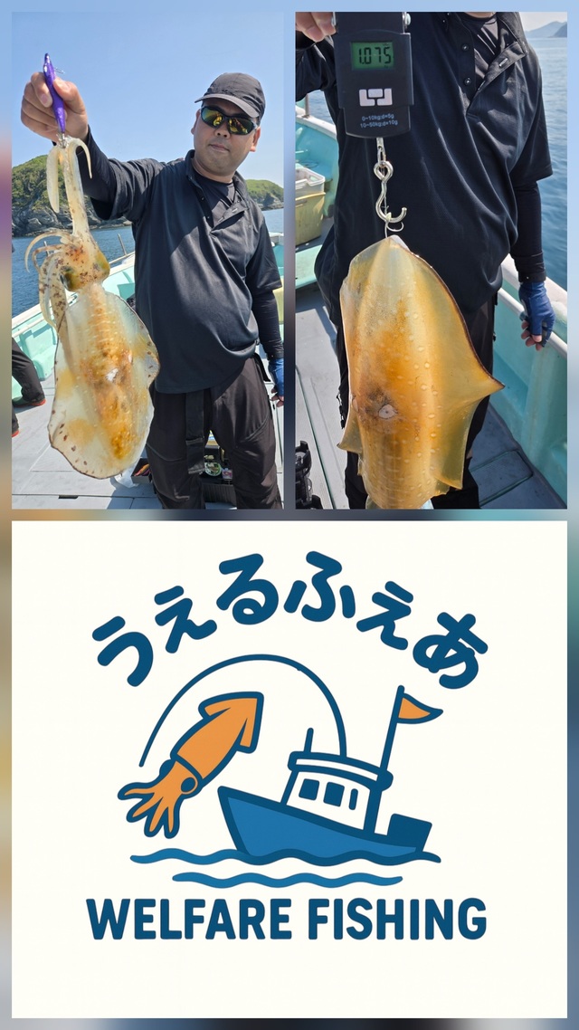 アオリイカ