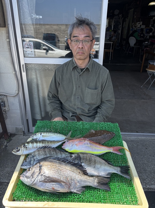 クロダイ・アジ(マアジ)