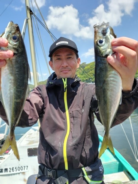 アジ(マアジ)