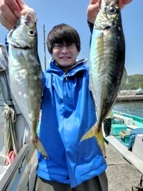 アジ(マアジ)