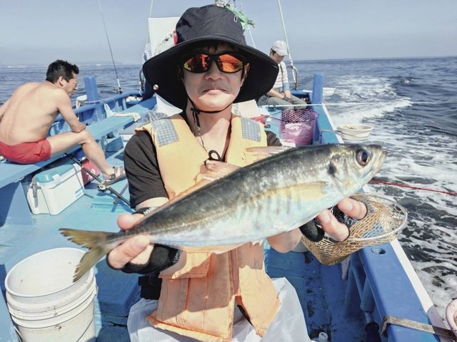 アジ(マアジ)