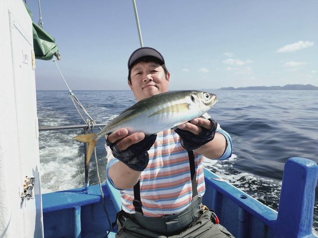 アジ(マアジ)