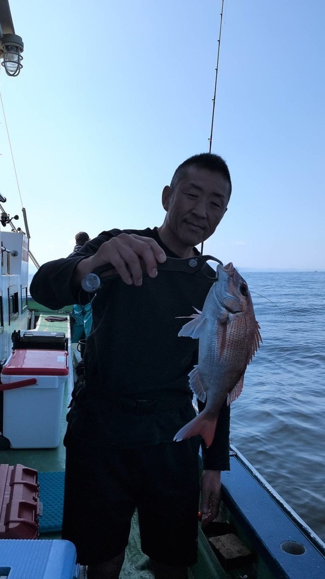 マダイ