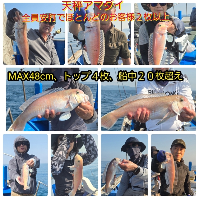 シロアマダイ