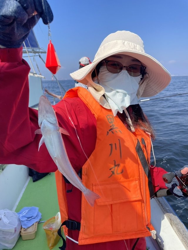 シロギス
